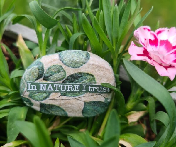 Stein "In Nature I trust" – Bild 3